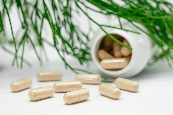 Nutrientes y complementos que pueden formar parte del cuidado digestivo